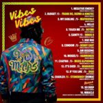 Yo Maps – Vibes On Vibes